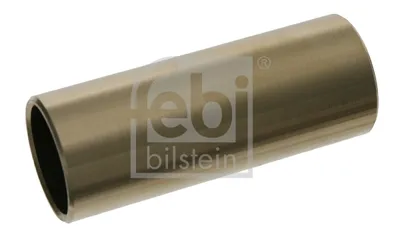 Casquillo del cojinete, ballesta