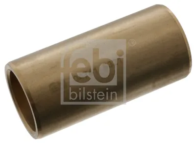 Casquillo del cojinete, ballesta