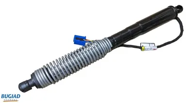 Muelle neumático, maletero/compartimento de carga Bmw 5