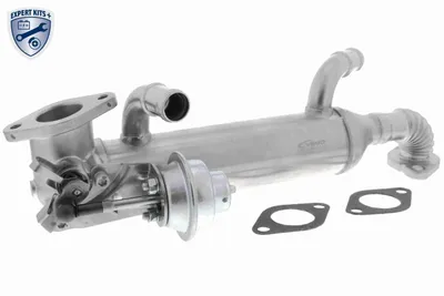 Elemento enfriador, reciclaje gases escape Vw TOUAREG · Vw MULTIVAN T5 · Vw TRANSPORTER T5 Platform/Chassis (7JD, 7JE, 7JL, 7JY, 7JZ, 7F