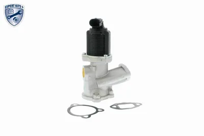 Válvula, reciclaje de gases de escape Fiat PALIO · Fiat PUNTO · Fiat SIENA