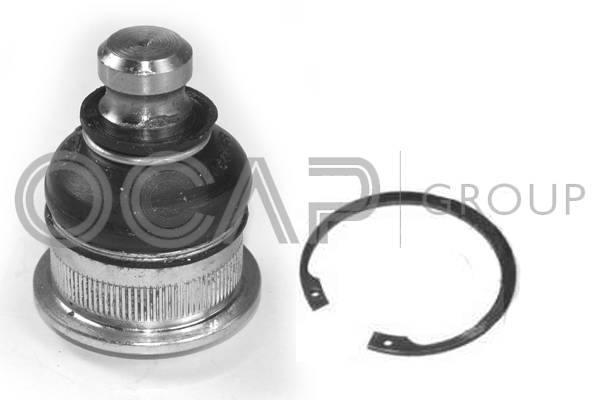 Rótula de suspensión/carga Lada LARGUS Estate Van · Renault MEGANE II · Renault SCÉNIC II