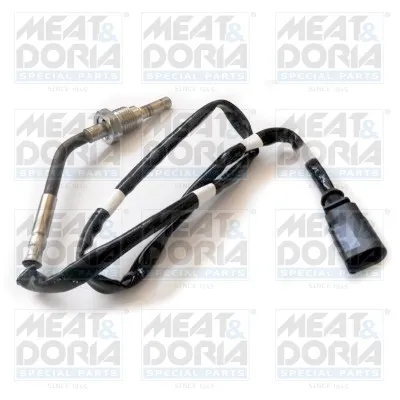 Sensor, temp. gas escape Vw MULTIVAN T5 · Vw TRANSPORTER T5 Platform/Chassis (7JD, 7JE, 7JL, 7JY, 7JZ, 7F · Vw TRANSPORTER T5 Van
