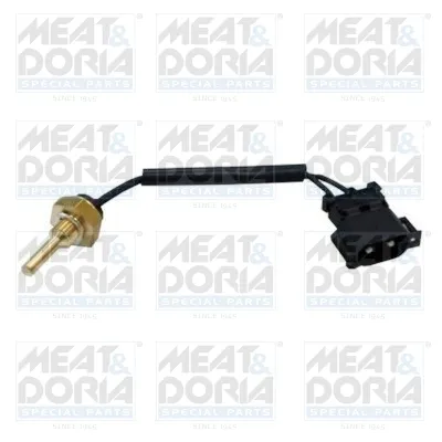 Sensor, temperatura del refrigerante Renault LAGUNA I · Renault LAGUNA I Grandtour · Renault SAFRANE II