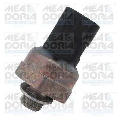 Sensor temperatura/presión aceite Bmw 5 · Bmw 5 Touring · Bmw X3