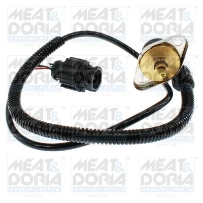 Sensor, presión combustible Byd FLYER