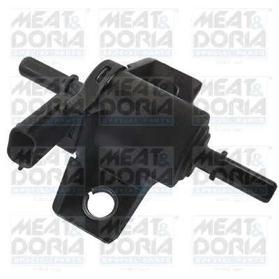 Válvula, sistema inyección Renault LAGUNA III · Renault MEGANE III Hatchback · Dacia LOGAN