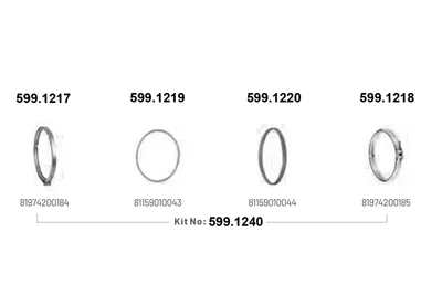 Juego de piezas de fijación, sistema de escape ASSO 599.1240