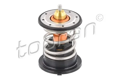 Junta, carcasa del filtro de aceite Audi A4 B5 · Audi A6 C4 · Audi A6 C4 Avant
