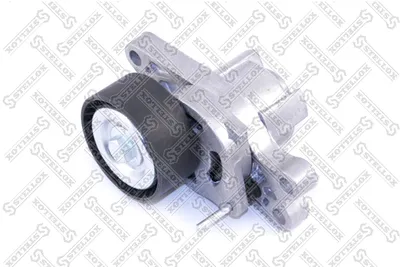 Polea tensora, correa poli V Citroën BERLINGO / BERLINGO FIRST Box Body/MPV · Citroën BERLINGO / BERLINGO FIRST MPV · Citroën XSARA
