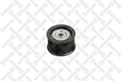 Polea tensora, correa poli V Toyota LAND CRUISER 200 · Toyota SEQUOIA · Toyota TUNDRA Pickup