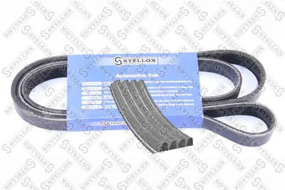 Correa trapecial poli V Bmw 3 · Bmw 3 Coupe · Bmw 3 Touring