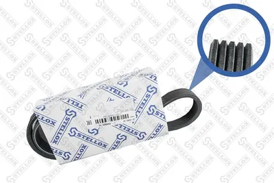 Correa trapecial poli V Ford MONDEO I · Ford MONDEO I Turnier · Ford MONDEO II