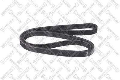 Correa trapecial poli V Alfa Romeo 159 · Alfa Romeo 159 Sportwagon · Fiat CROMA