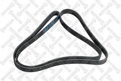 Correa trapecial poli V Bmw 2 Active Tourer · Bmw 2 Gran Tourer · Bmw X1