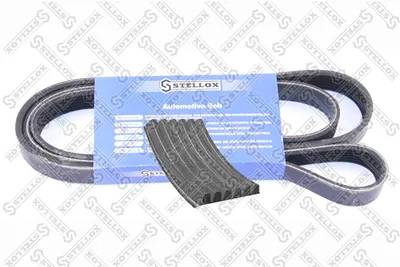 Correa trapecial poli V Ford FIESTA V · Ford FIESTA V Van · Mazda MX-5 III