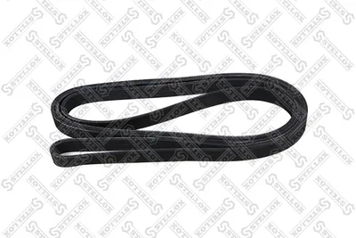 Correa trapecial poli V Audi A8 D2 · Ford TRANSIT Bus · Ford TRANSIT Van
