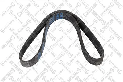 Correa trapecial poli V STELLOX 08-00855-SX