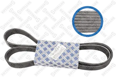Correa trapecial poli V STELLOX 08-01580-SX