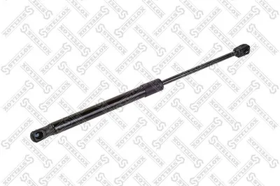 Muelle neumático, capó de motor Audi A8 D3