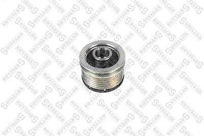 Polea, alternador Audi A6 C6 · Audi A6 C6 Avant · Mercedes-Benz CITAN Mixto