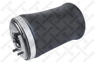 Fuelle, suspensión neumática Bmw X5