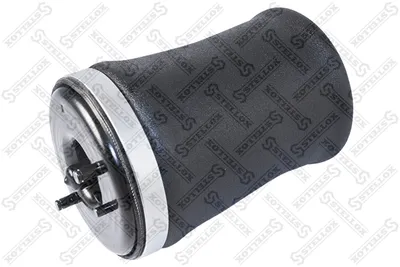 Fuelle, suspensión neumática Bmw X5