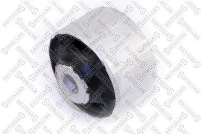 Suspensión, Brazo oscilante Audi A4 B5 · Audi A8 D2 · Audi A6 C5