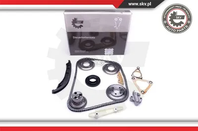 Juego de cadena de distribución Ford TRANSIT Bus · Ford TRANSIT Van · Ford TRANSIT Platform/Chassis