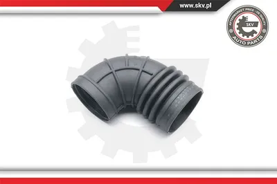 Tubo flexible de aspiración, filtro de aire Bmw 3