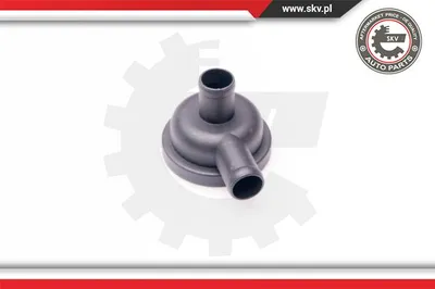Válvula, ventilación del cárter Audi A4 B5 · Audi A3 · Audi A6 C5