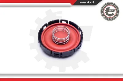 Membrana, ventilación del cárter Bmw Z4 Roadster · Bmw 5 Gran Turismo · Bmw X1