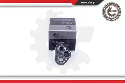 Asegurador puerta Nissan INTERSTAR Bus · Nissan INTERSTAR Van · Nissan INTERSTAR Platform/Chassis