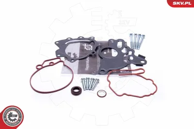 kit reparación, bomba vacío (frenos) Audi A3 · Audi A6 C6 · Audi A3 Sportback