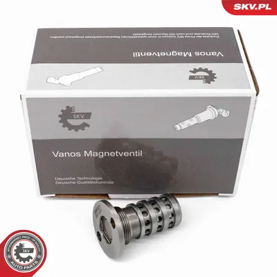 Válvula control, ajuste de levas Audi A5 · Audi A4 B8 · Audi A4 B8 Avant