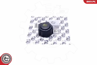 Tapón, depósito de refrigerante Citroën XSARA · Citroën XSARA Break · Citroën C5 I