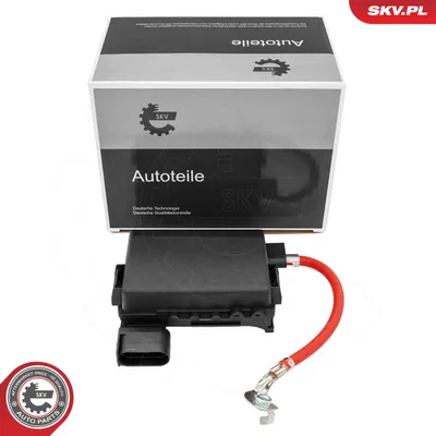 Caja de fusibles Audi A3 · Ford GALAXY I · Ford GALAXY MK I VAN