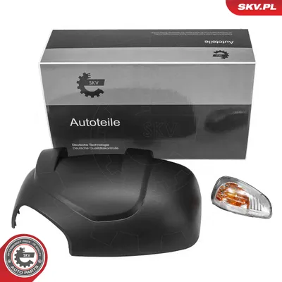 Cubierta, retrovisor exterior Nissan NV400 Van · Nissan NV400 Bus · Nissan NV400 Platform/Chassis