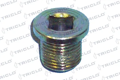 Tapón roscado, colector de aceite Renault ESPACE I · Renault 12 · Renault 18