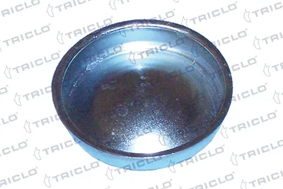 Tapa protectora, buje de rueda Citroën ZX · Citroën AX · Citroën SAXO