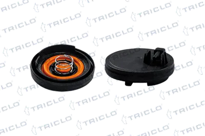 Membrana, ventilación del cárter Bmw 3 · Bmw 3 Touring · Bmw 3 Coupe