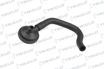 Separador de aceite, ventilación del cárter Renault KANGOO · Renault CLIO II · Dacia LOGAN