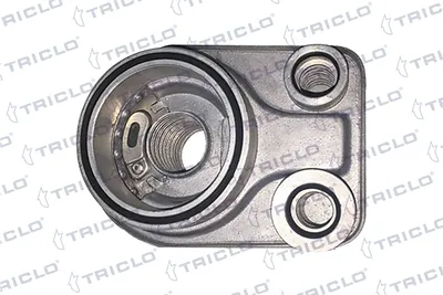 Radiador de aceite, aceite motor Renault KANGOO · Renault CLIO II · Renault KANGOO Express