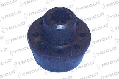 Soporte, radiador Renault MEGANE II · Renault SCÉNIC II · Renault MEGANE II Coupé-Cabriolet
