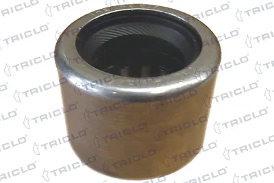 Cojinete, caja de cambios manual TRICLO 625077