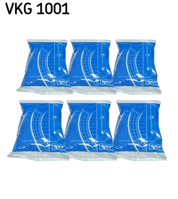 Grasa SKF VKG 1001