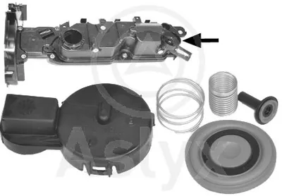 Tapa de culata Citroën BERLINGO / BERLINGO FIRST MPV · Citroën C4 PICASSO I MPV · Citroën JUMPY II