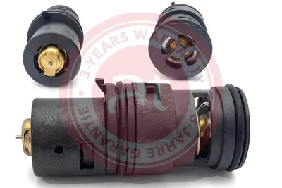 Termostato, refrigerante Bmw 3 · Bmw 3 Touring · Bmw X5
