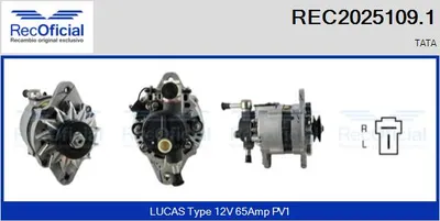 Alternador Tata SAFARI