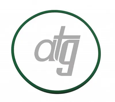 Juego de reparación para anillos tóricos ATG 95101014